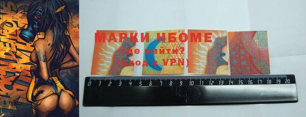 СК Новодвинск