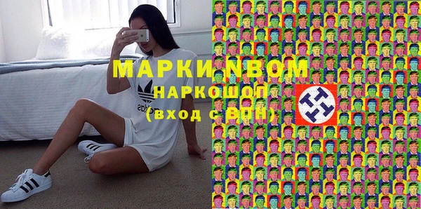 СК Новодвинск