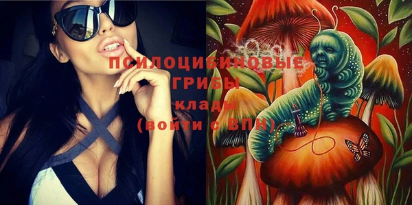 бошки Новокубанск