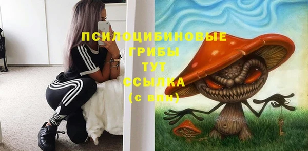 СК Новодвинск