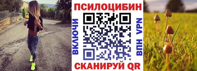гидра вход  Ахтубинск  Галлюциногенные грибы MAGIC MUSHROOMS  купить  цена 