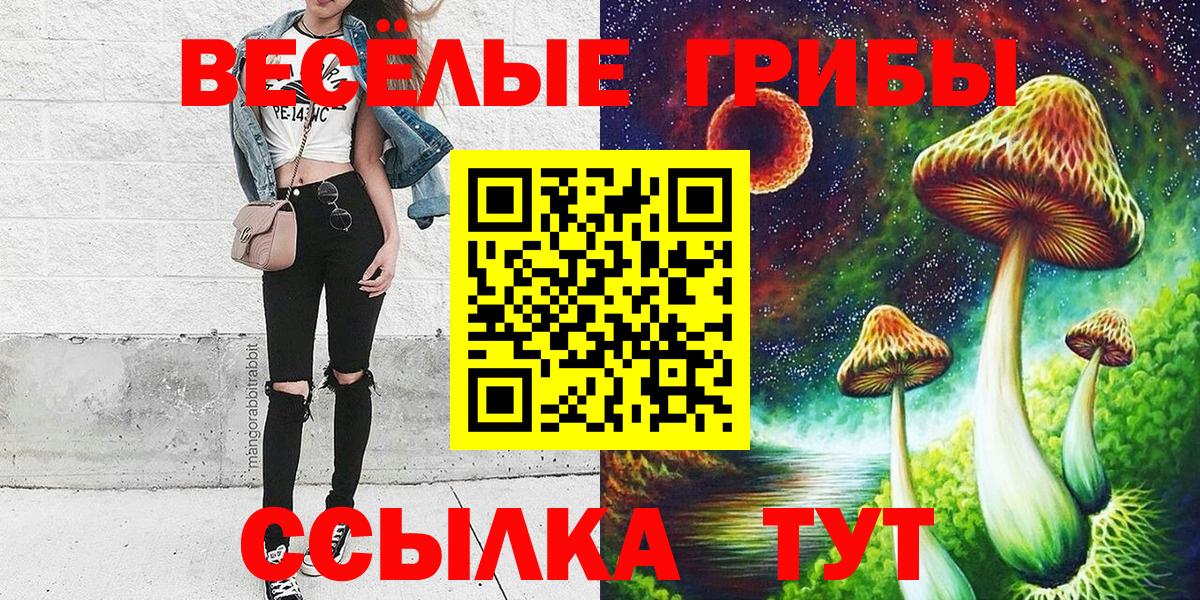 Галлюциногенные грибы GOLDEN TEACHER  Псилоцибиновые грибы мухоморы  Ахтубинск  Вход с VPN 
