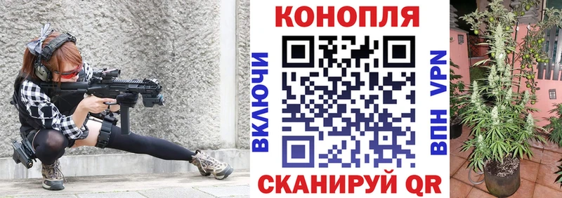 кракен сайт  Ахтубинск  Шишки марихуана конопля  цены наркотик 